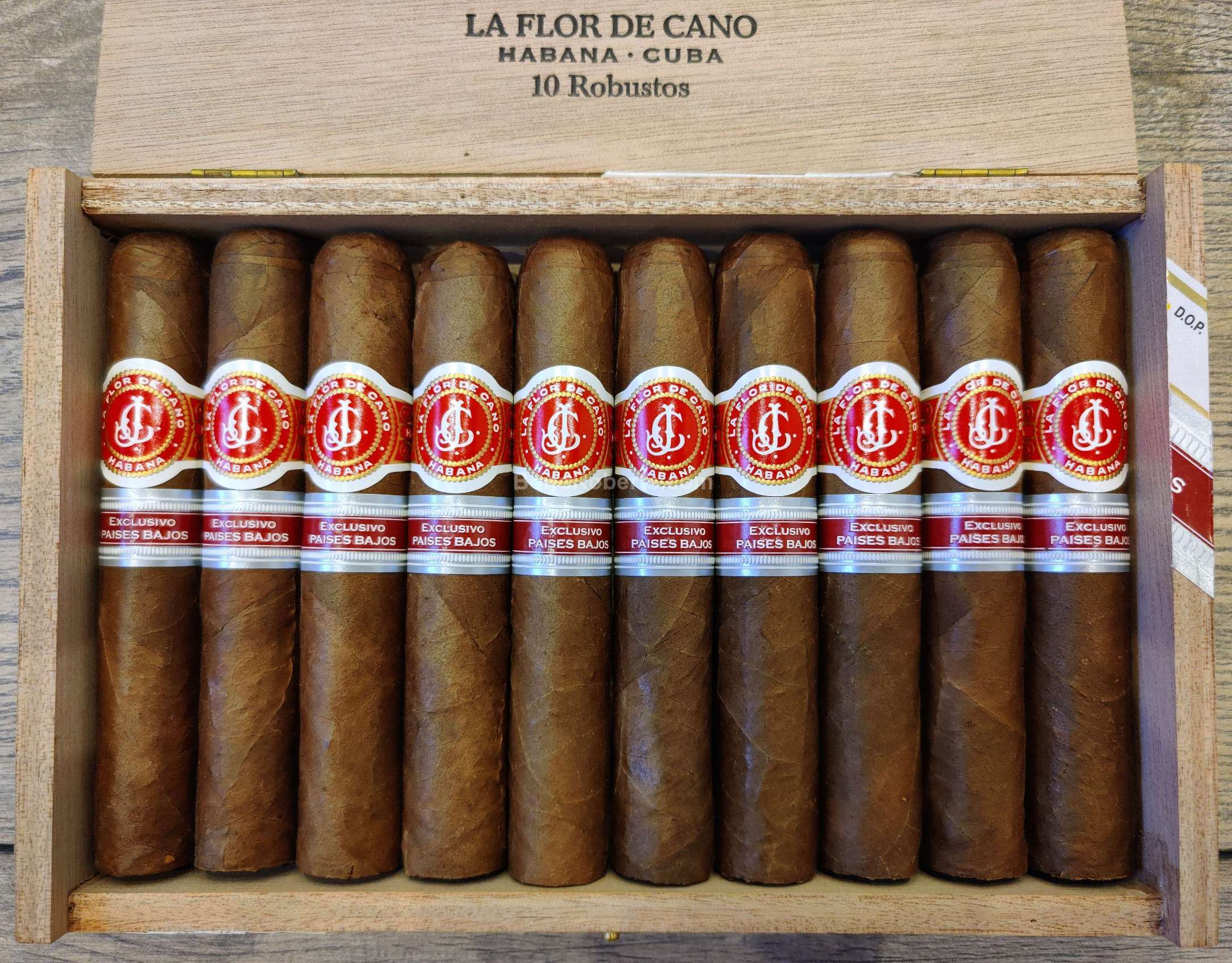 La Flor de Cano Robusto Edición Regional Países Bajos 2019 Dress Box of ...