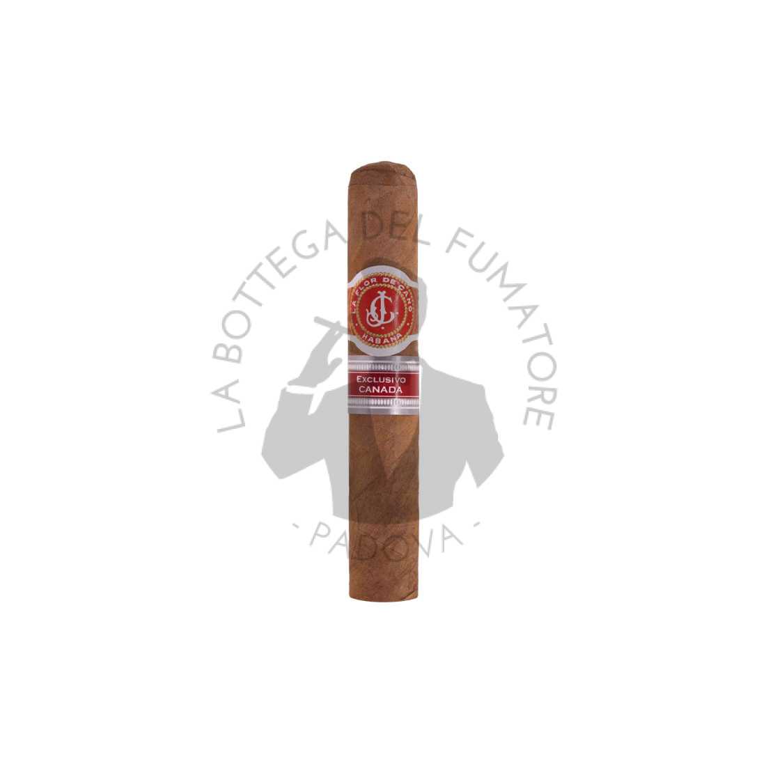 La Flor De Cano Siboney R.E. Canada 2014 • Bottega del Fumatore