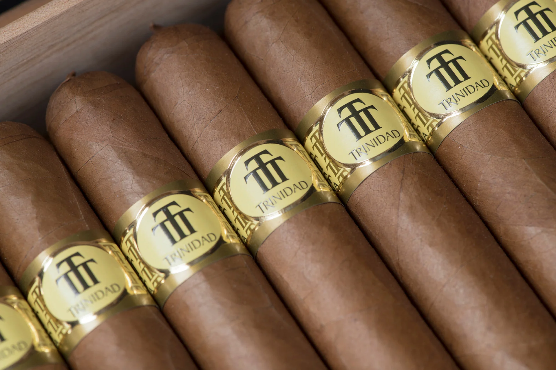 Trinidad Casilda - Colección Habanos Edición 2019 Cigar - EGM Cigars