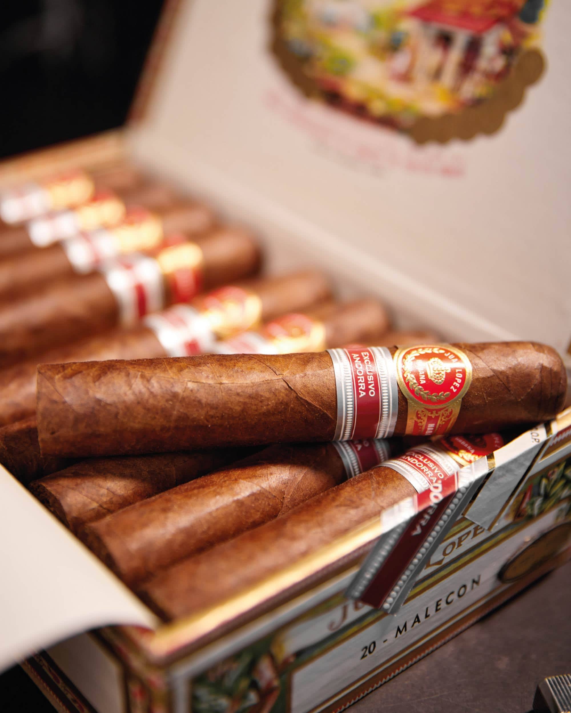 Juan López Malecón Edición Regional Andorra 2015 - nextCIGAR