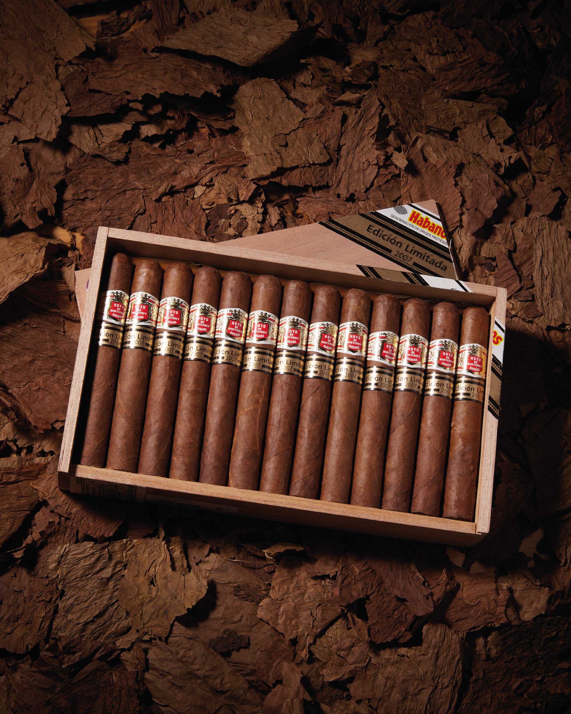 Hoyo de Monterrey Regalos EL 2007 - Rare Aged Cuban Cigar | nextCIGAR