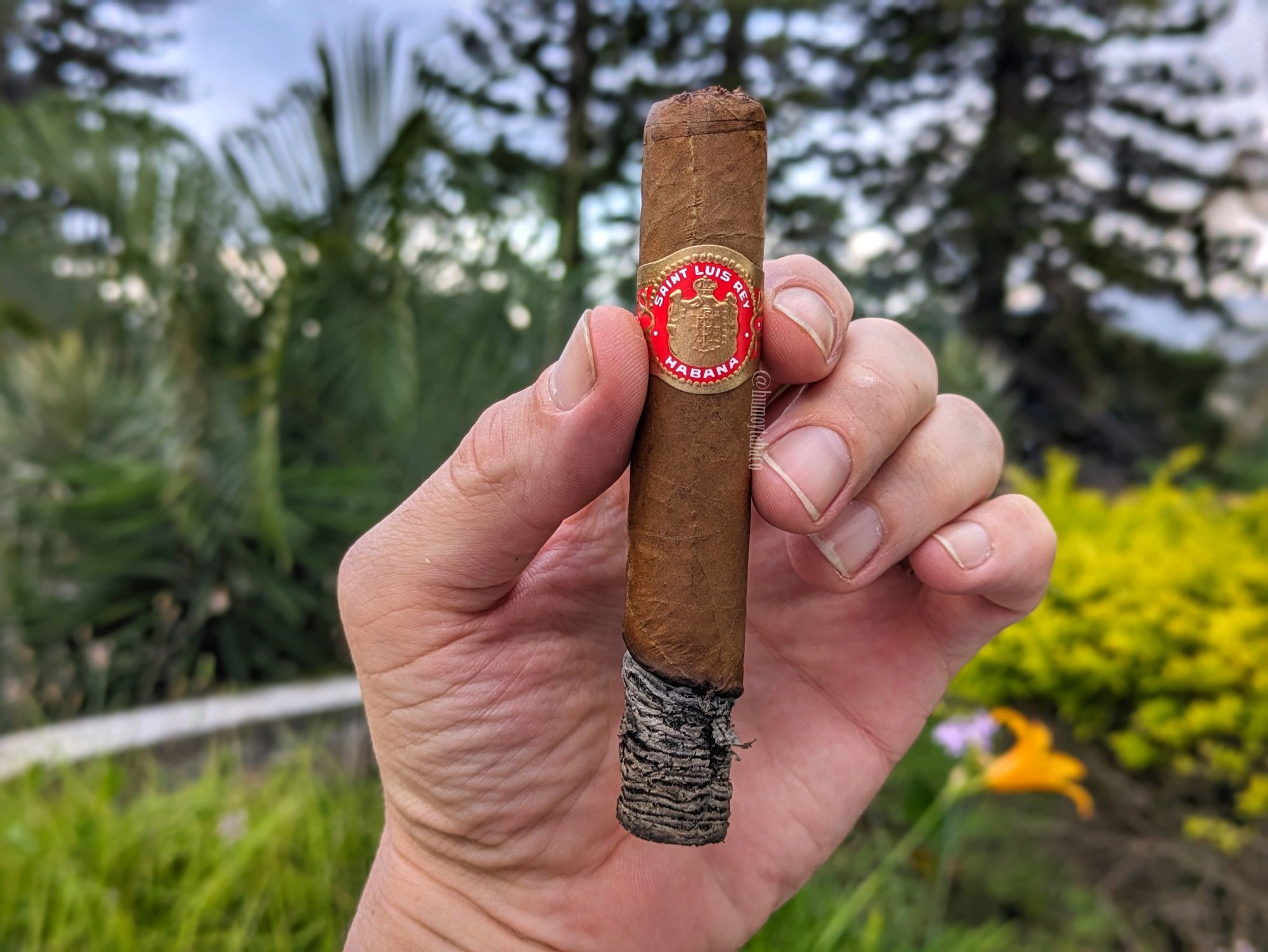 San Luis Rey 圣路易斯·雷伊富豪 雪茄资料