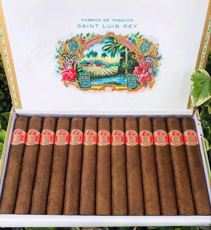 Cigar Saint Luis Rey ReGios - Cuốn & Hút Store Phụ kiện - Cigar chính hãng