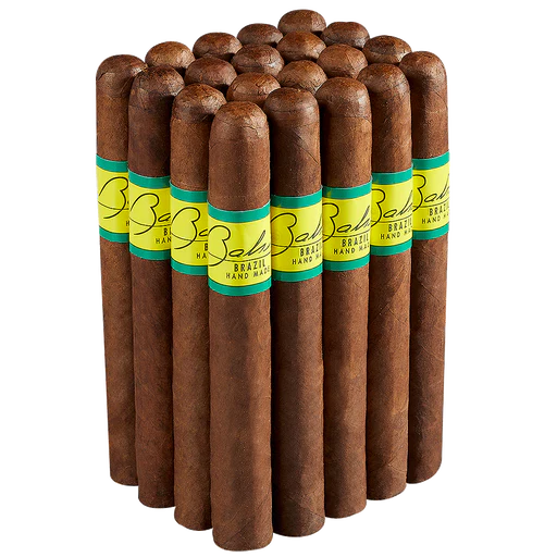 Bahia Brazil Toro 巴西公牛