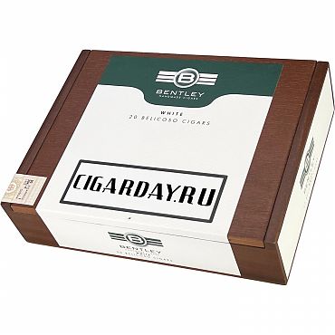 Bentley White Belicoso 白标比利高