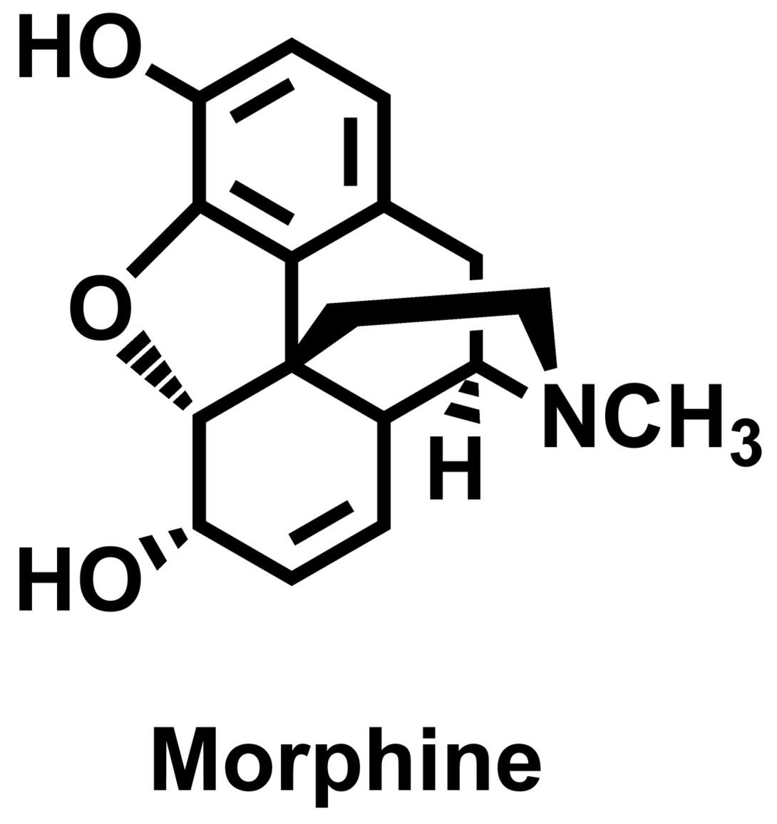 Black Label Morphine 吗啡