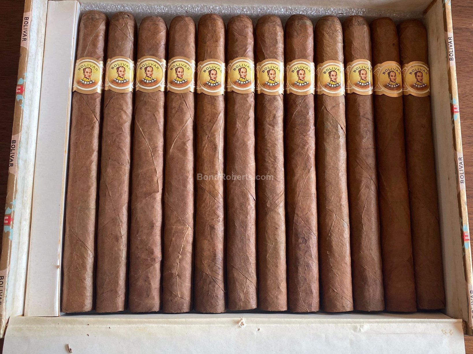 玻利瓦尔 巨人 Bolivar Inmensas