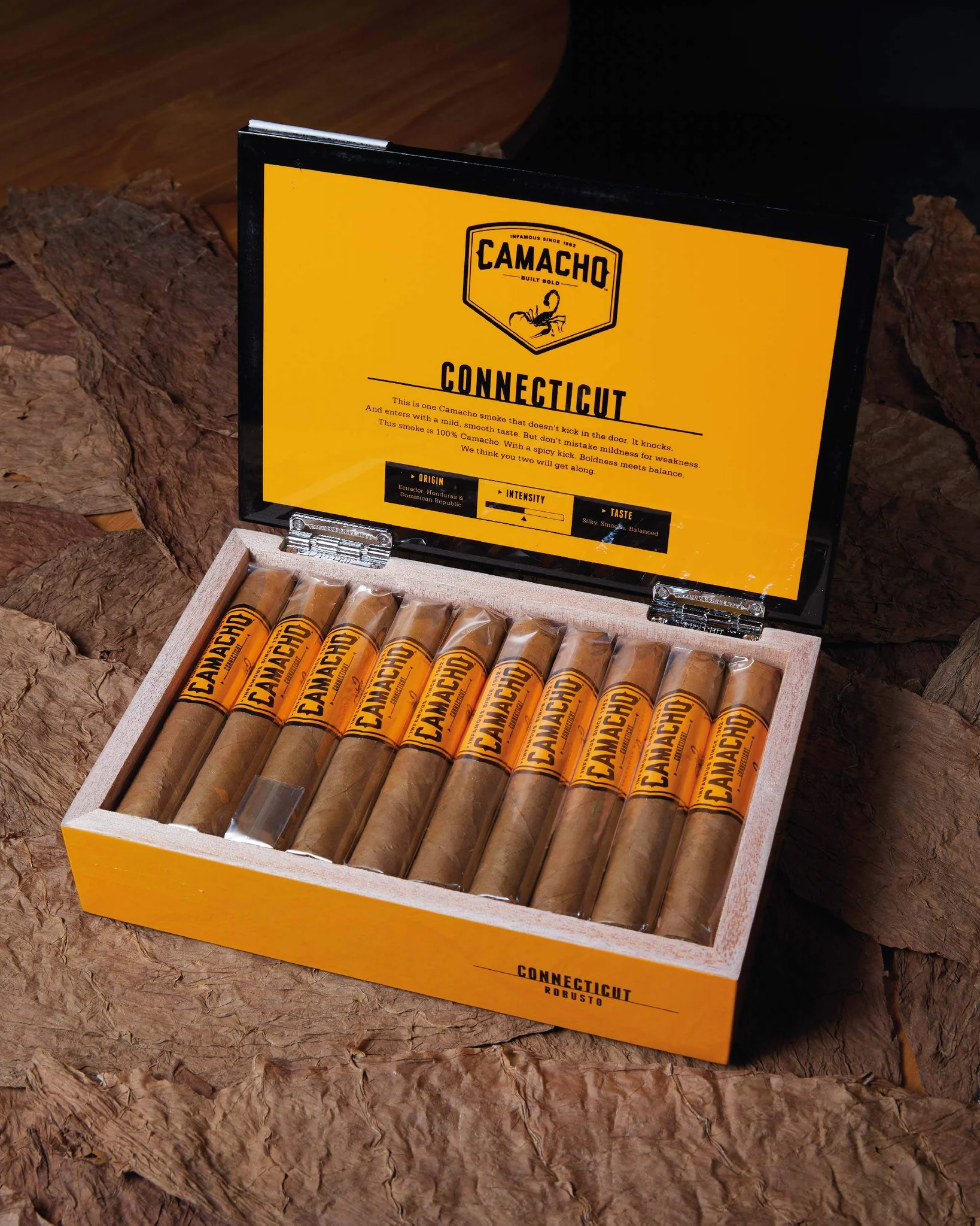 凯恩 康涅狄格 罗伯图 Cain Connecticut Robusto