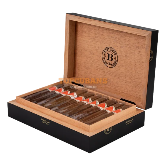 邦加尼 罗伯图 Bongani Robusto