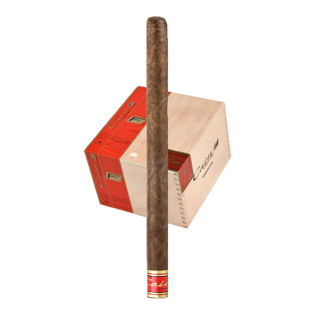 凯恩 F 兰塞罗 Cain F Lancero