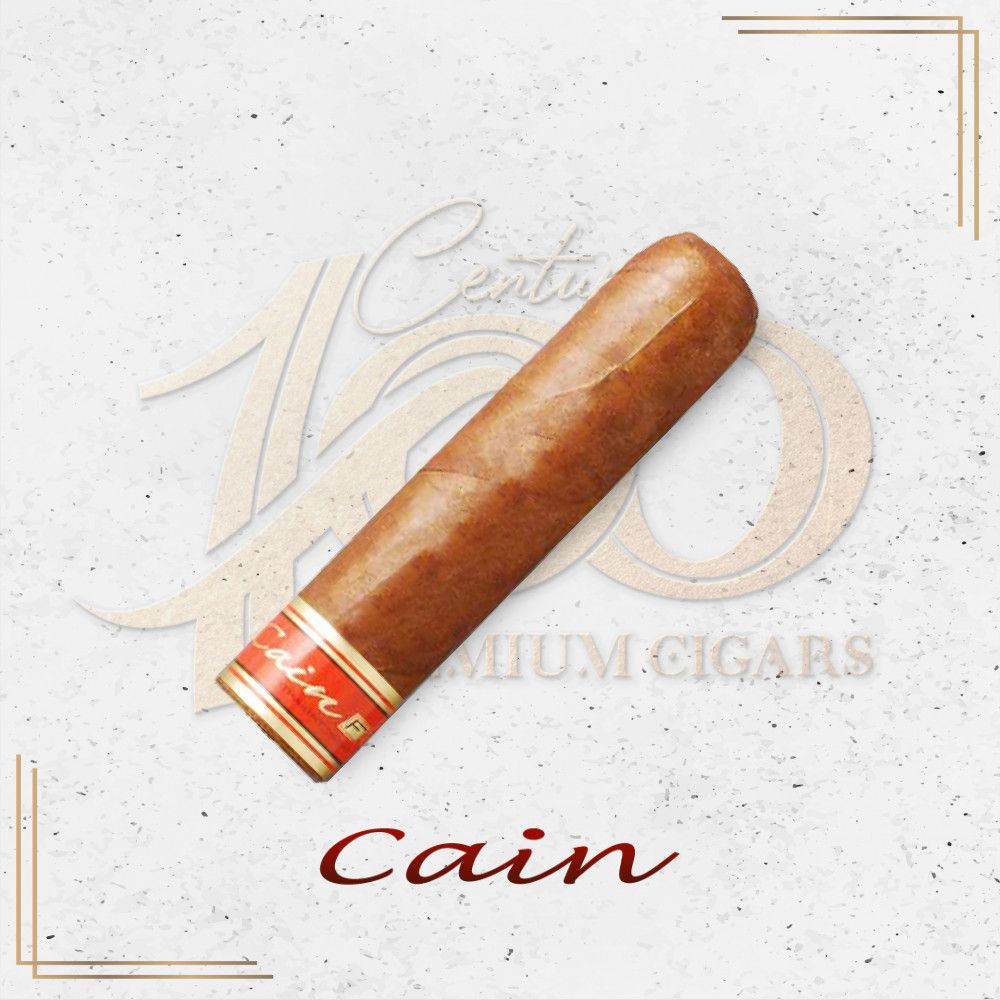 凯恩 努布 F 460 Cain Nub F 460