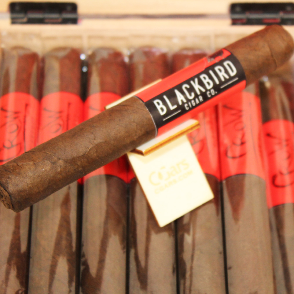 Blackbird Crow Gran Toro