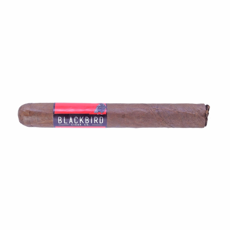 Blackbird Crow Doble Toro