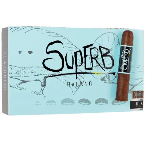Blackbird Superb Robusto Gordo