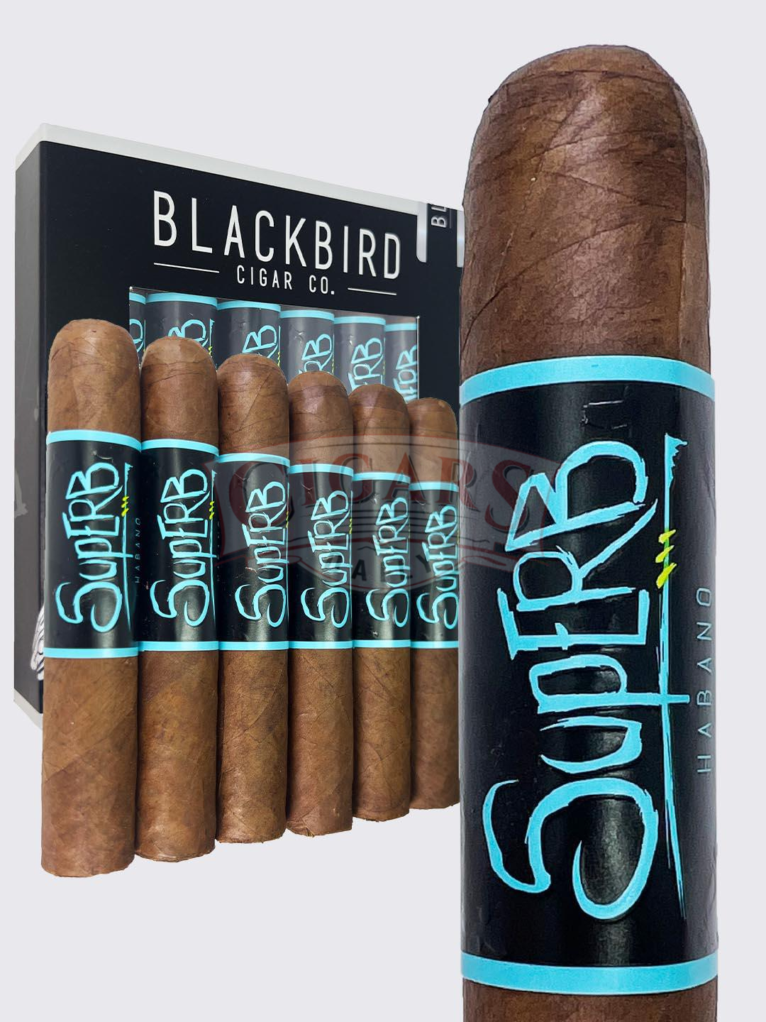 Blackbird Superb Robusto Gordo