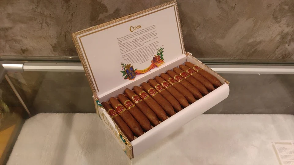 [雪茄品評]庫阿巴神聖 評價（Cuaba Divinos Review） | Hong Kong Cigar