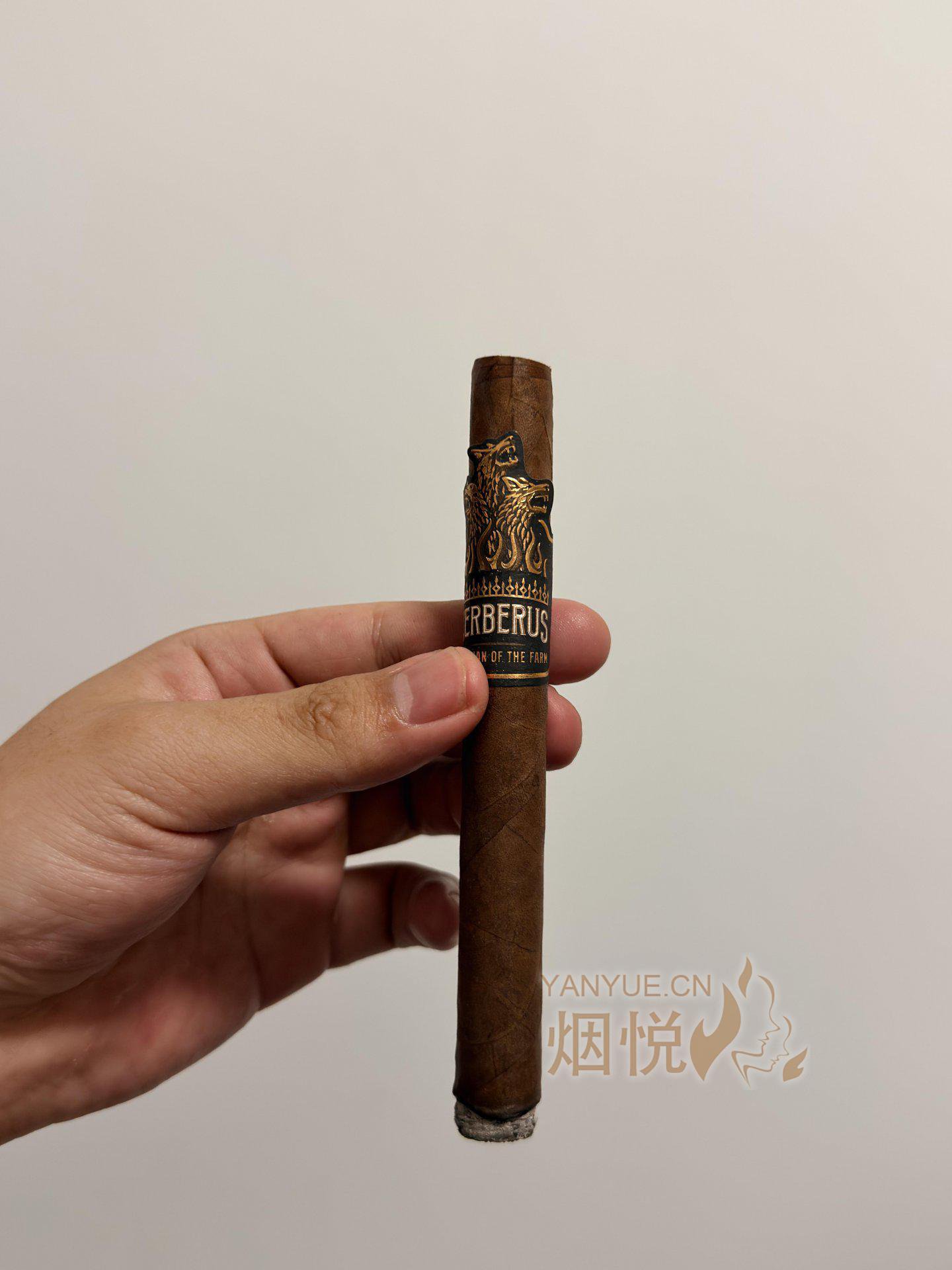 锡瓦奥 朗斯代尔 Cibao Lonsdale