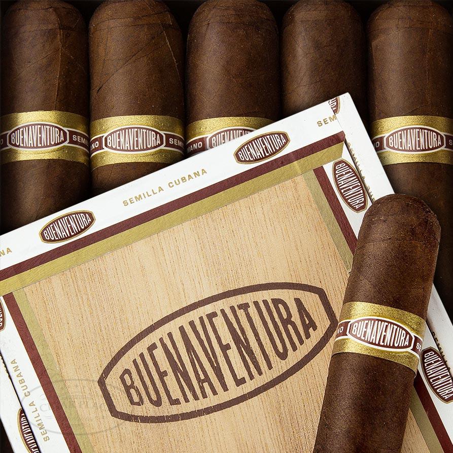Buenaventura BV 600 布埃纳文图拉 BV600