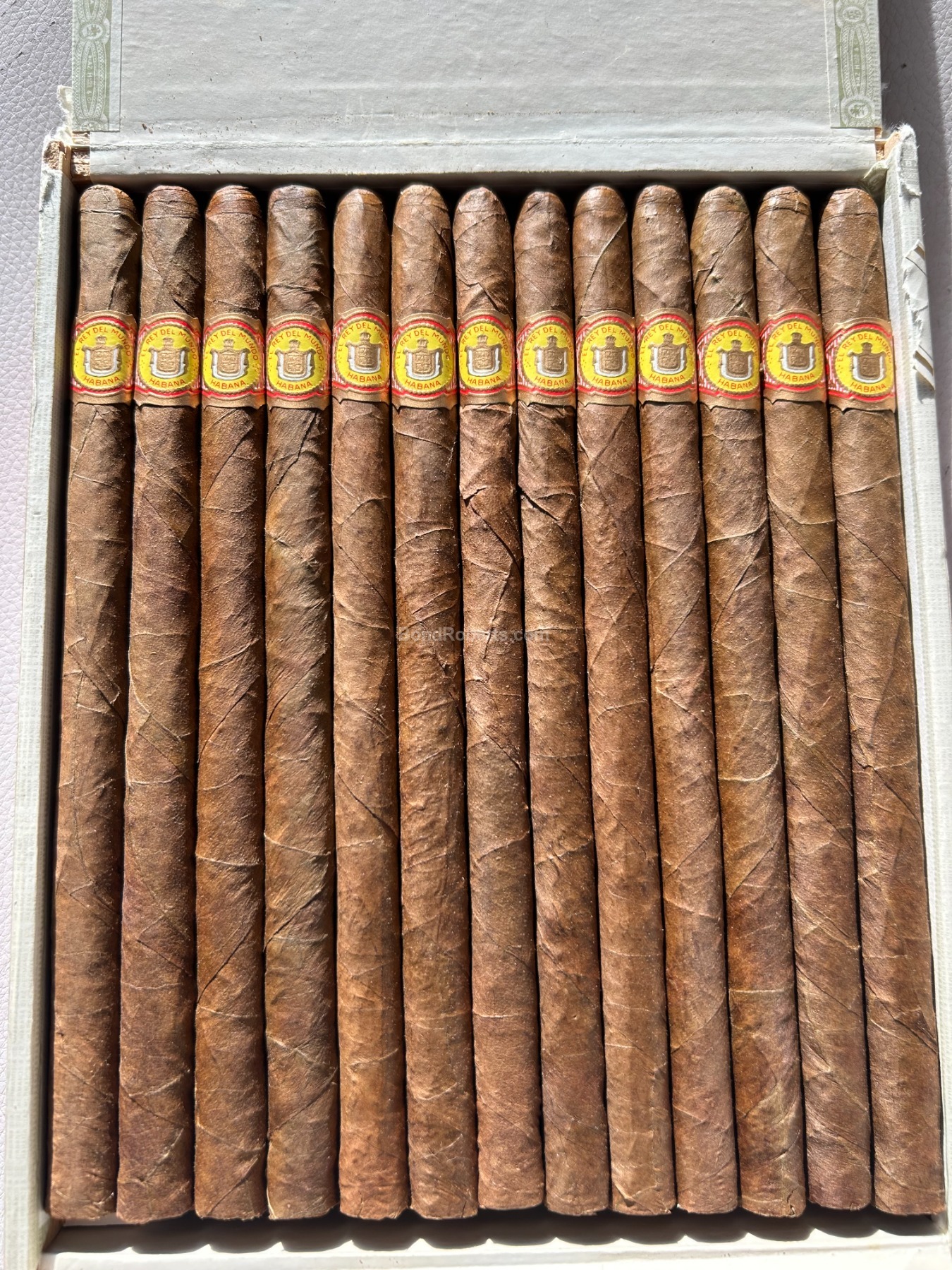 El Rey del Mundo Elegantes 世界之王雅致款