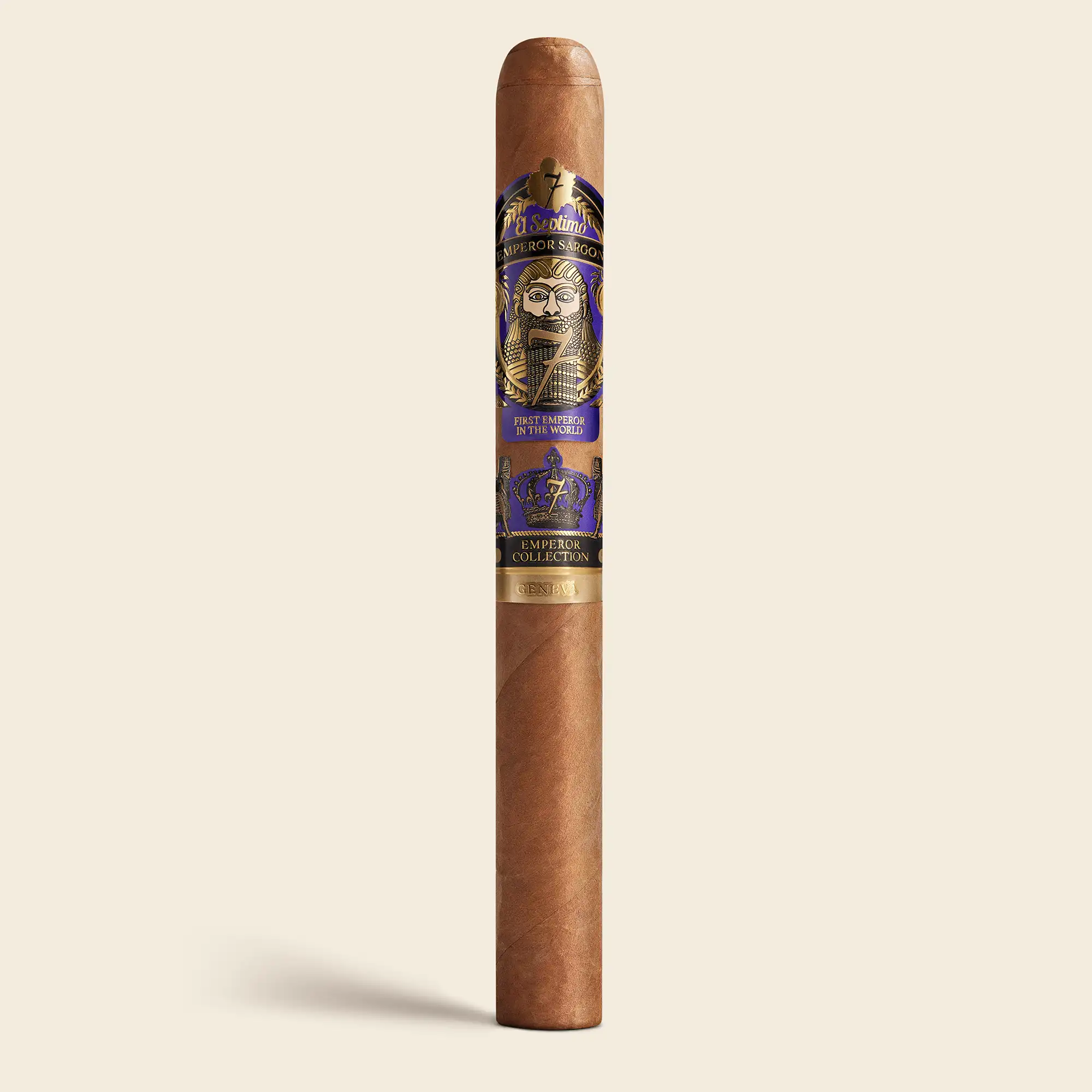 El Septimo King Sargon Connecticut Churchill 第七神萨尔贡王康州叶丘吉尔