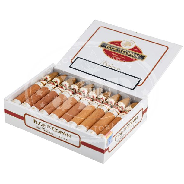 Flor de Copan Classic Belicoso (20)