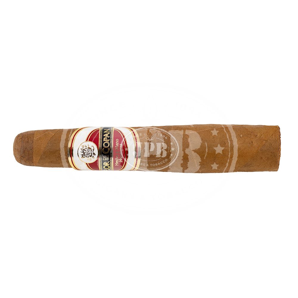 Flor de Copan Classic Gordito / Torbusto (1)