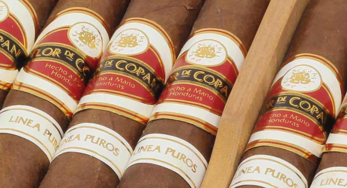 Flor de Copan 科潘之花 纯品系列 托罗 雪茄资料