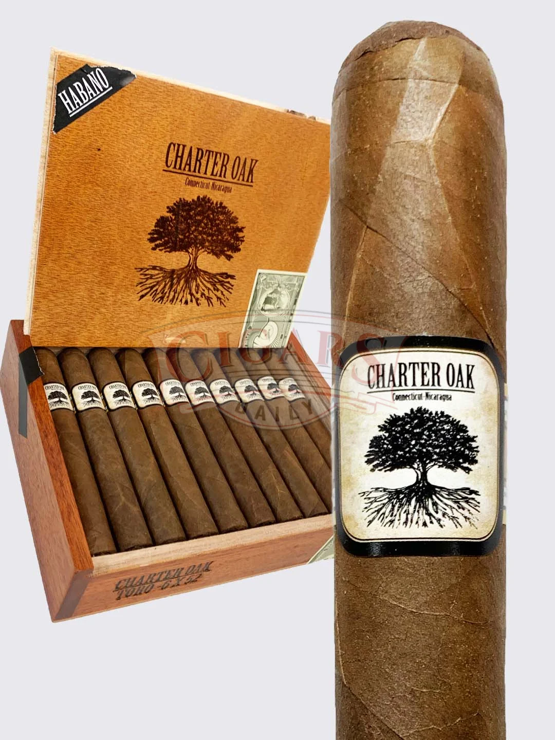 Charter Oak Habano Toro (6×52) - Cigars Daily