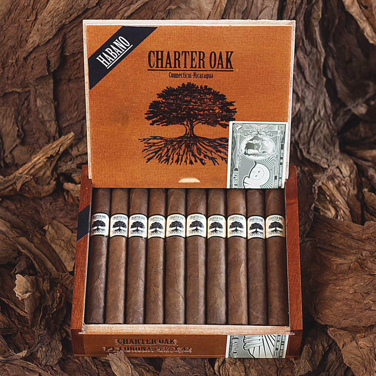 Charter Oak 特许橡树哈瓦那 雪茄资料