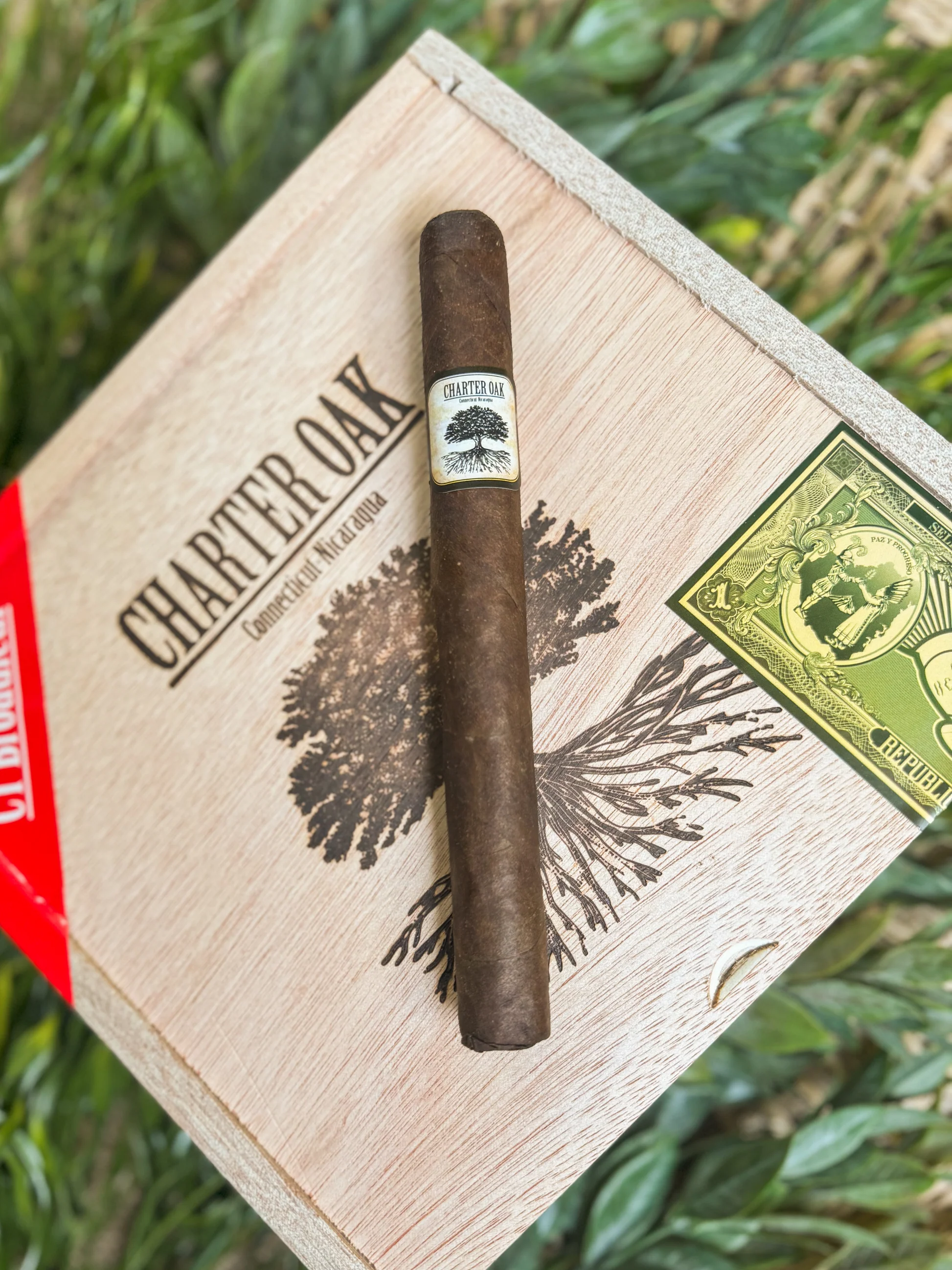 Charter Oak CT Broadleaf Maduro - LA Cigar Collective