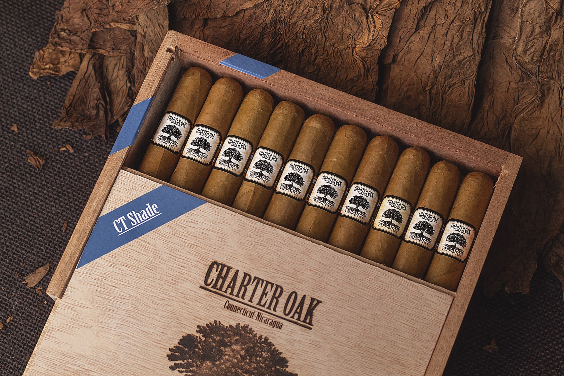 Charter Oak CT Shade - Foundation Cigar Company