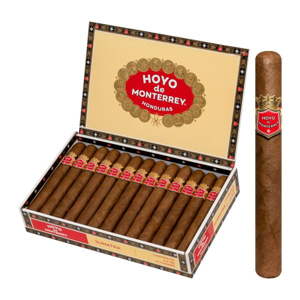 Hoyo de Monterrey Churchills