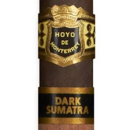Hoyo de Monterrey Dark Sumatra Media Noche Review | Premium Cigar of ...