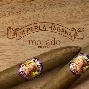 La Perla Habana 拉佩拉哈瓦纳紫罗兰 雪茄资料