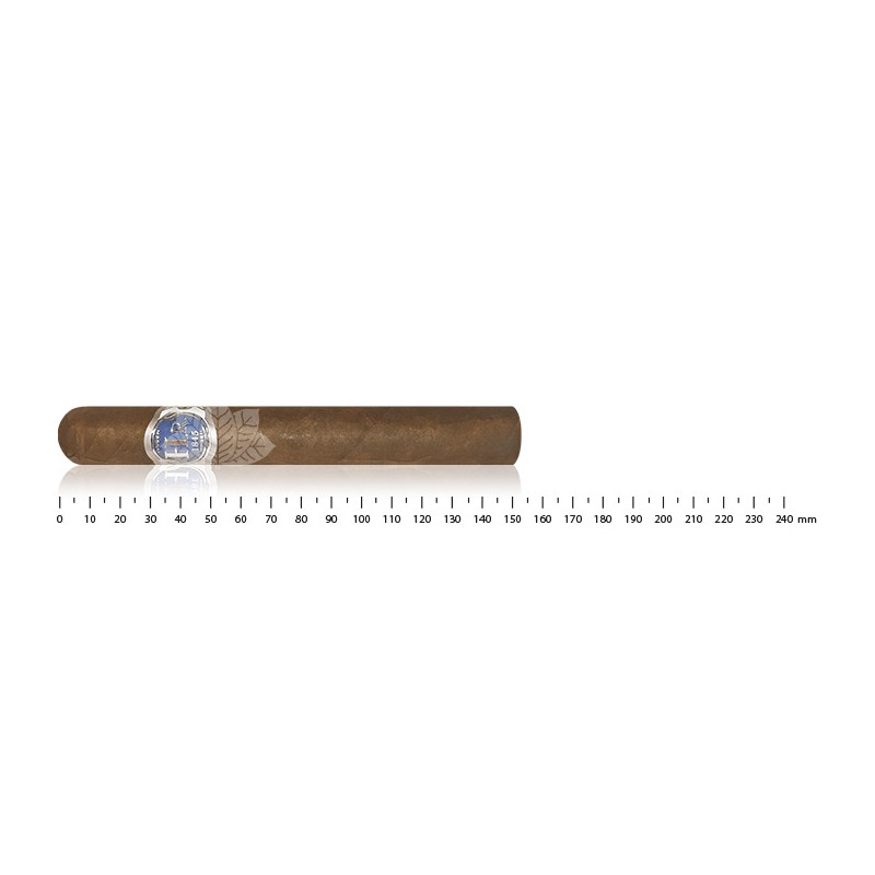 HR Robaina - Blue Line Toro Cigar - Nicaraguan cigars