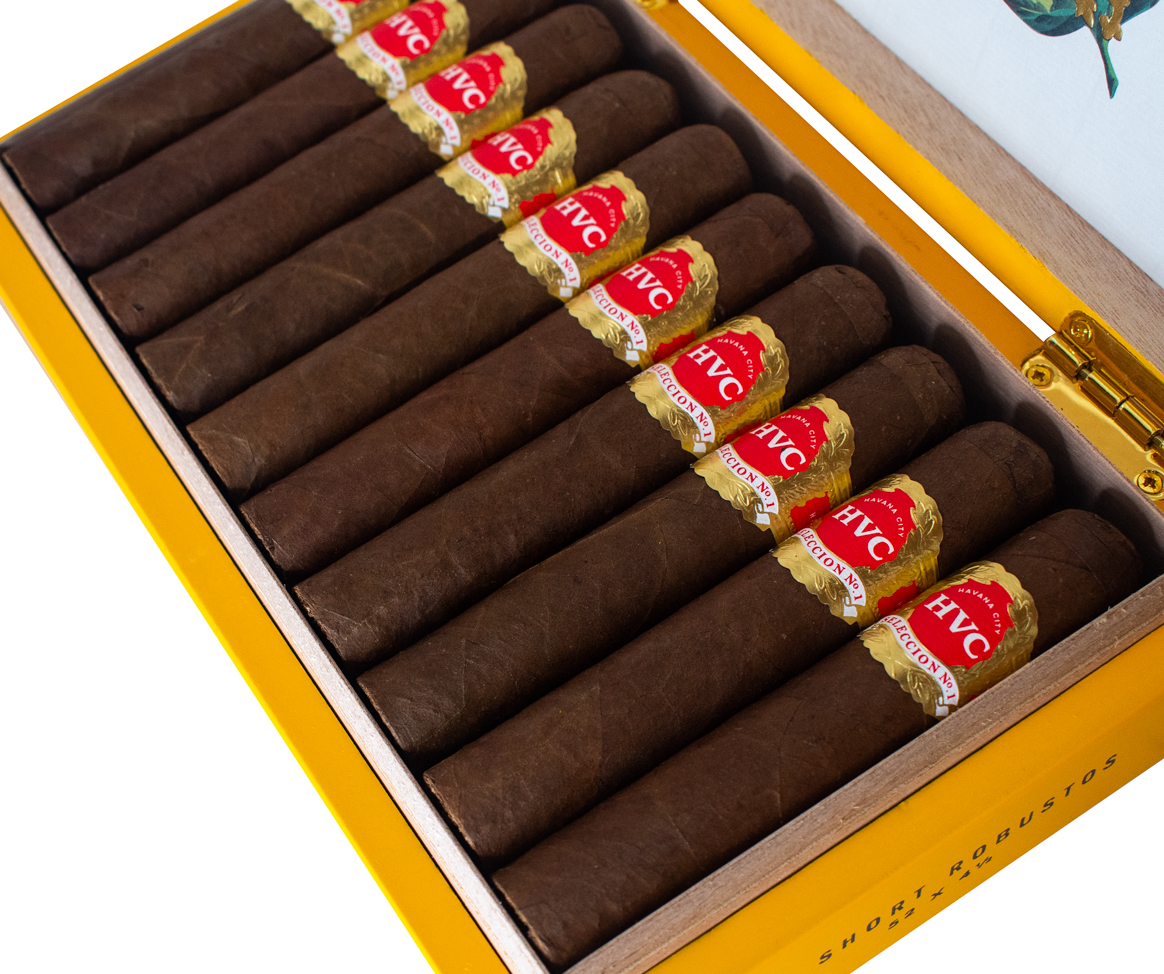 Buy HVC Selección No.1 Natural Short Robusto Online at Small Batch ...