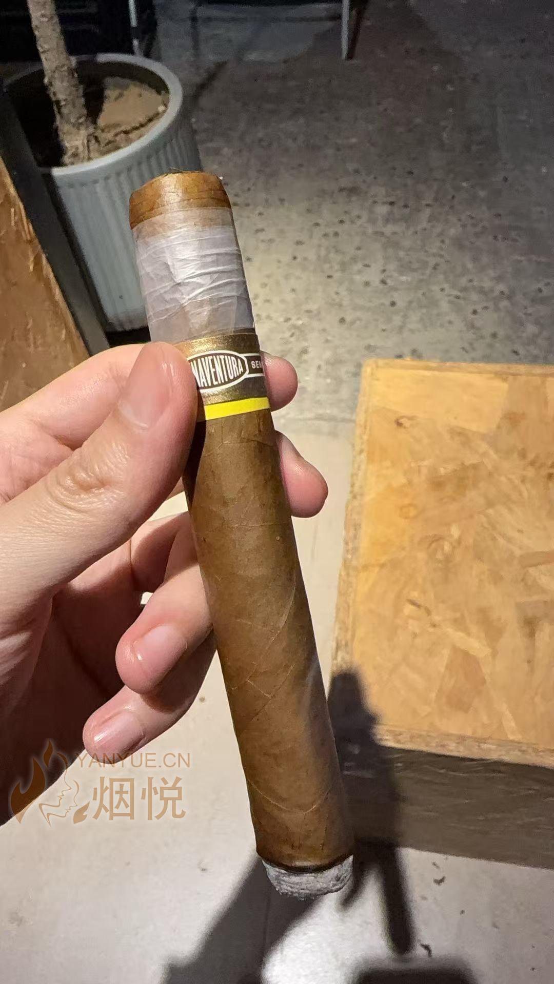 Curivari Buenaventura Favoritos 54 Connecticut - 雪茄交流 - 烟悦网论坛