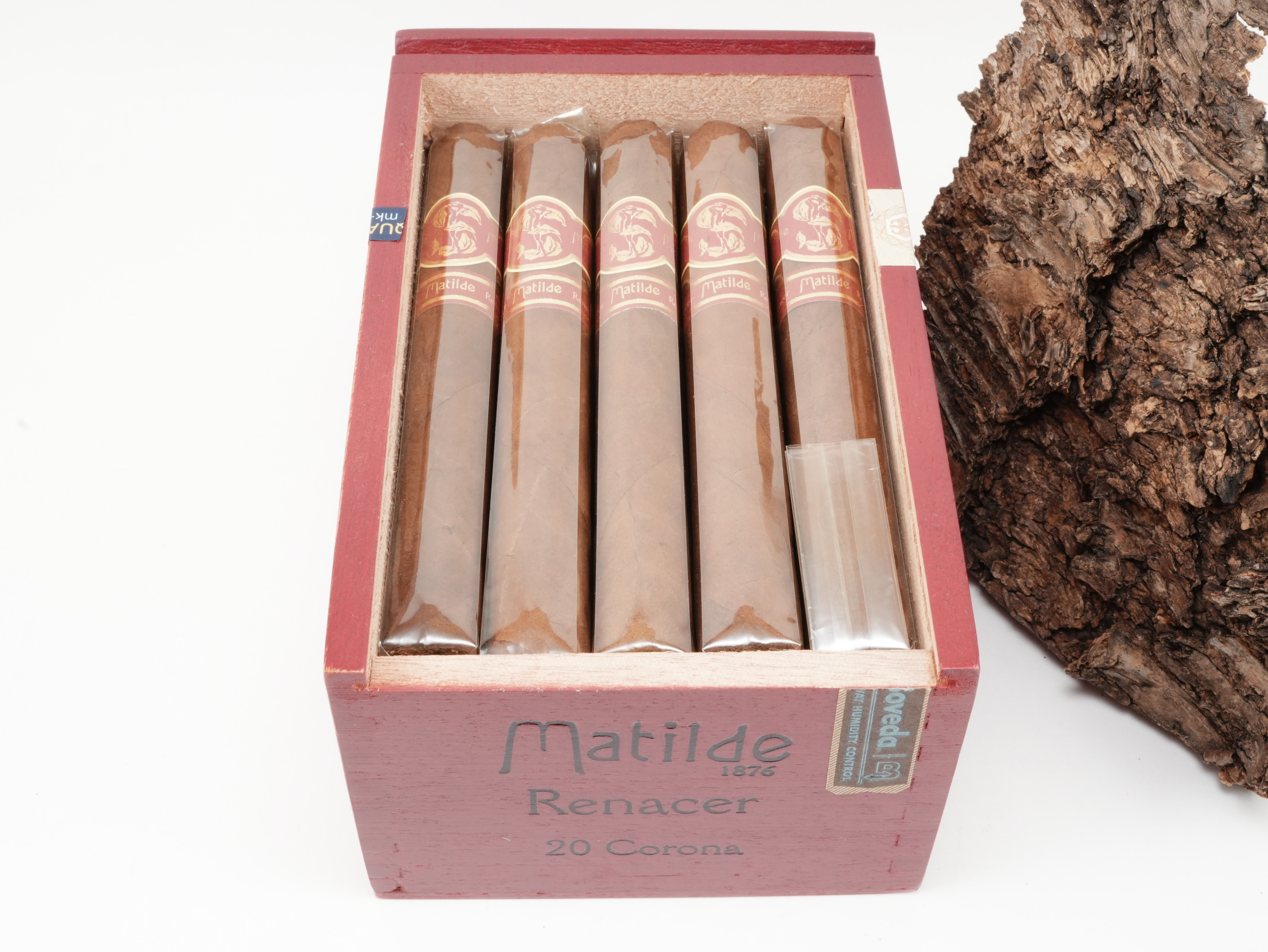 深度解读Matilde Renacer