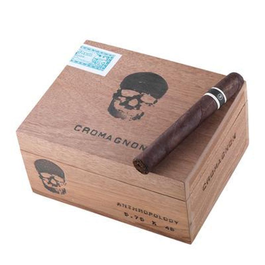 深度解读RoMa Craft CroMagnon