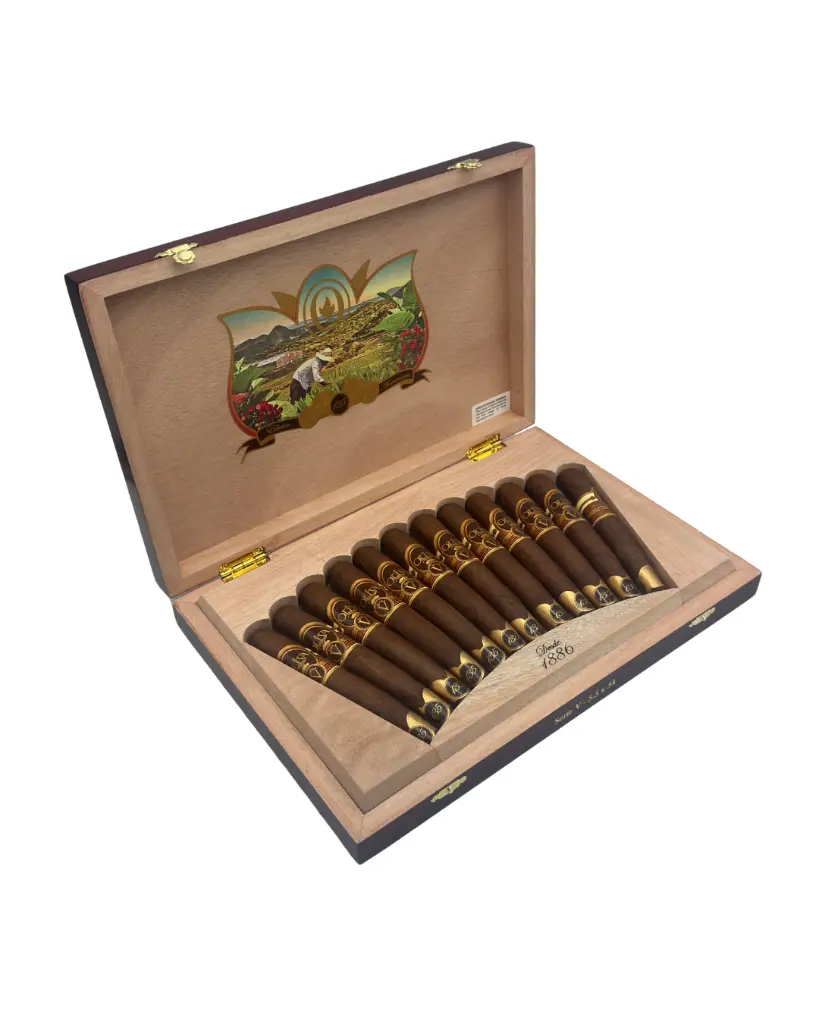Oliva | Serie V 135 Aniversario - 5 1/2 x 54 | Cigar Circus
